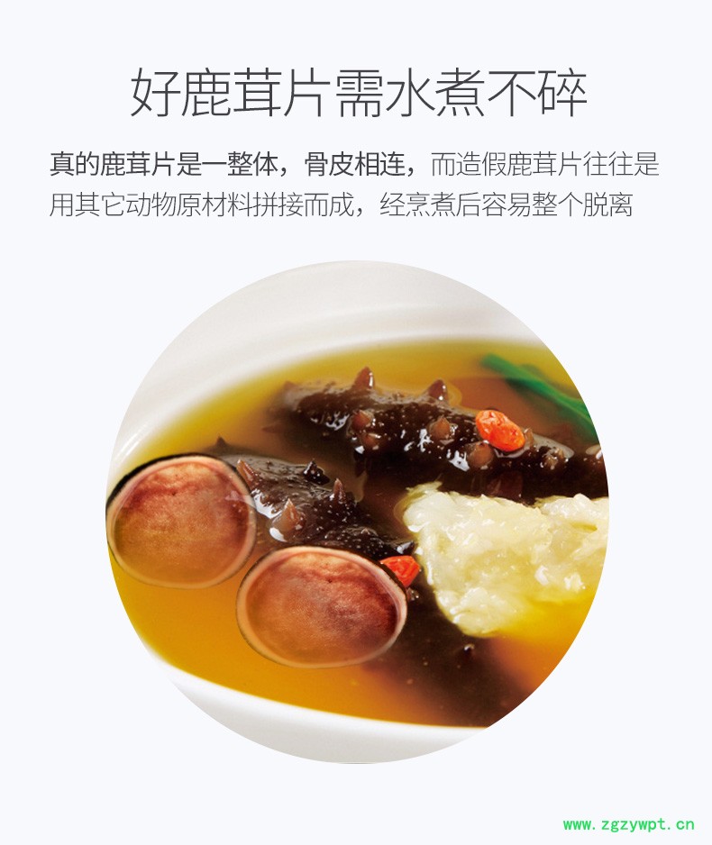 鹿鹿茸马鹿鹿茸整枝鲜鹿茸鹿场批发新鲜鹿茸