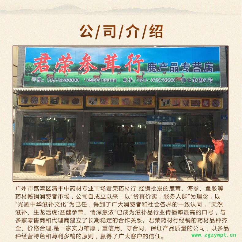 公司介绍_01