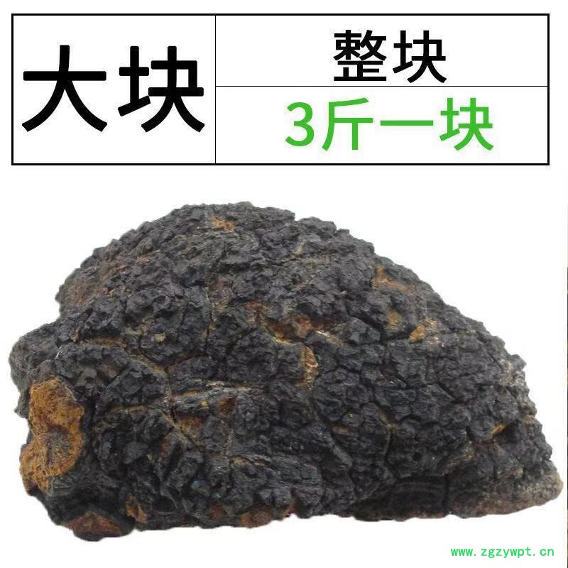 大兴安岭桦树茸 白桦茸100克 量大重优