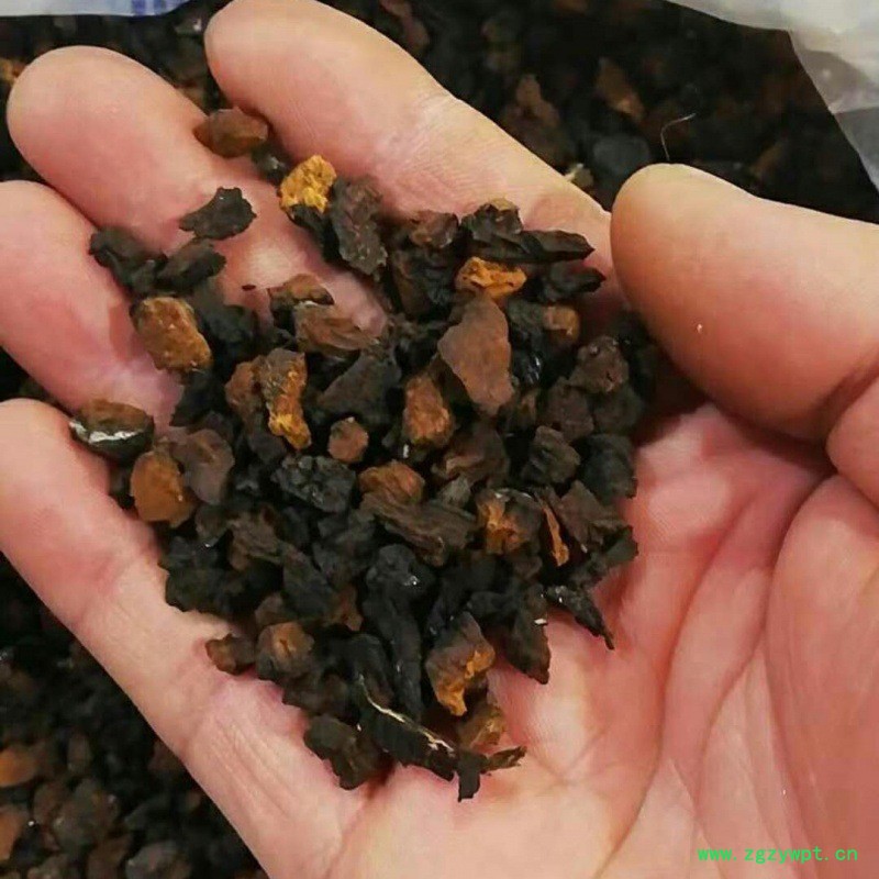 中药桦树茸价格 白桦茸100克 长白山桦褐孔菌