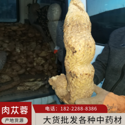 中药材批发肉苁蓉鲜个子 内蒙油肉苁蓉内蒙肉苁蓉 泡酒泡茶肉苁蓉