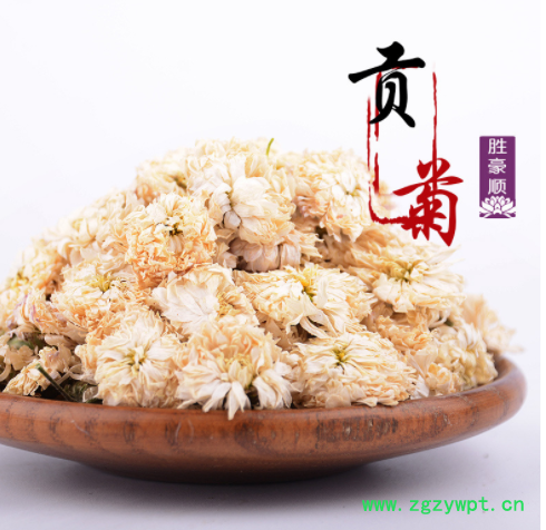 胜豪批发花草茶花茶黄山菊花贡菊菊花茶量大从优干花厂家直销