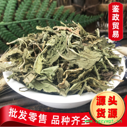 批发蒲公英 草药整株 散装 蒲公英 干婆婆丁N