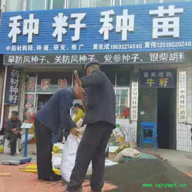 门市门头.jpg