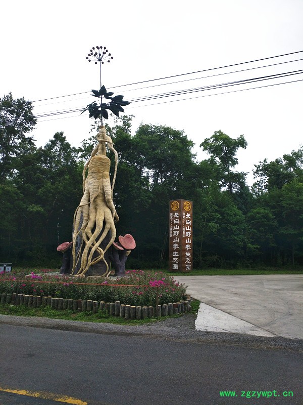 野山参景_副本.jpg