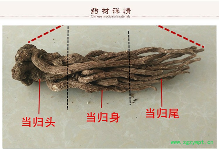 当归片0.52.jpg