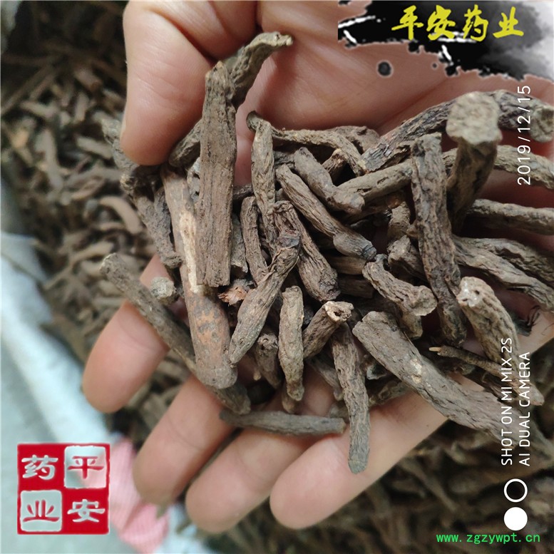 进口仙茅黑色48胖_副本.jpg