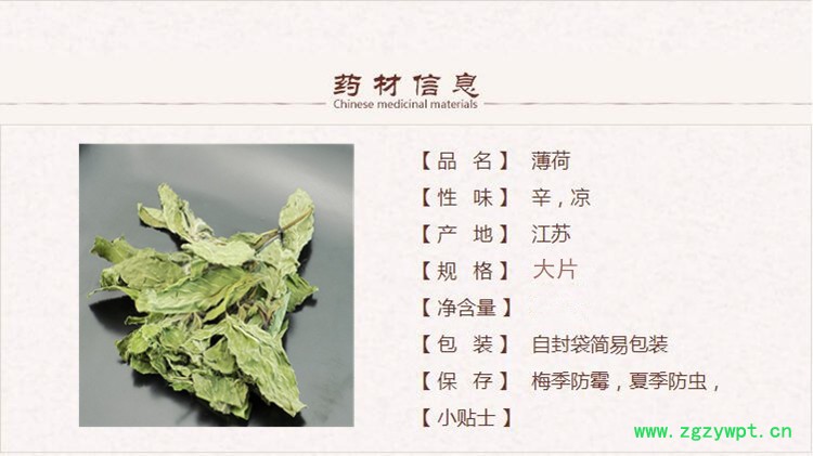 薄荷1_副本.jpg