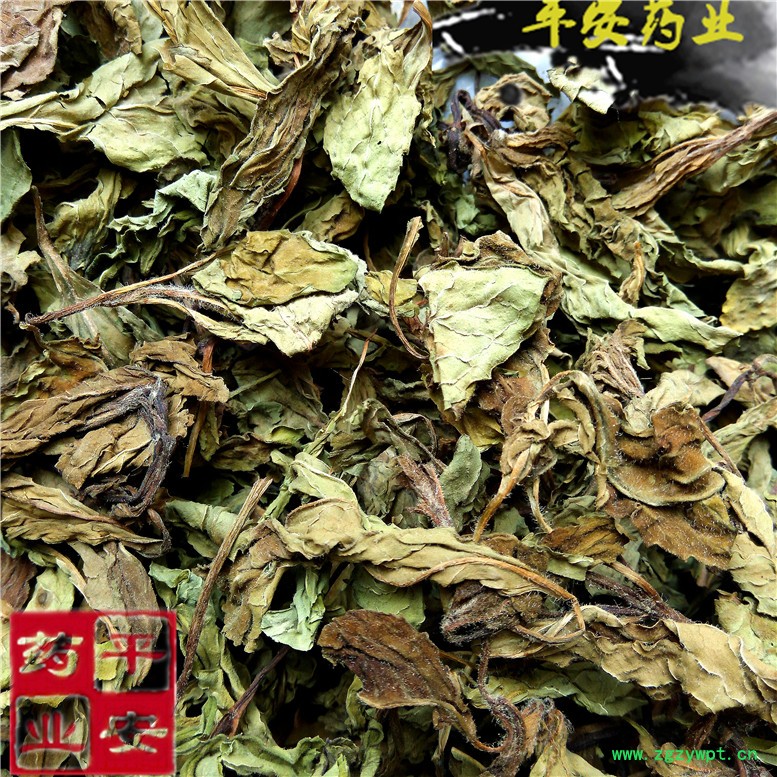 薄荷叶35康~05_副本.jpg