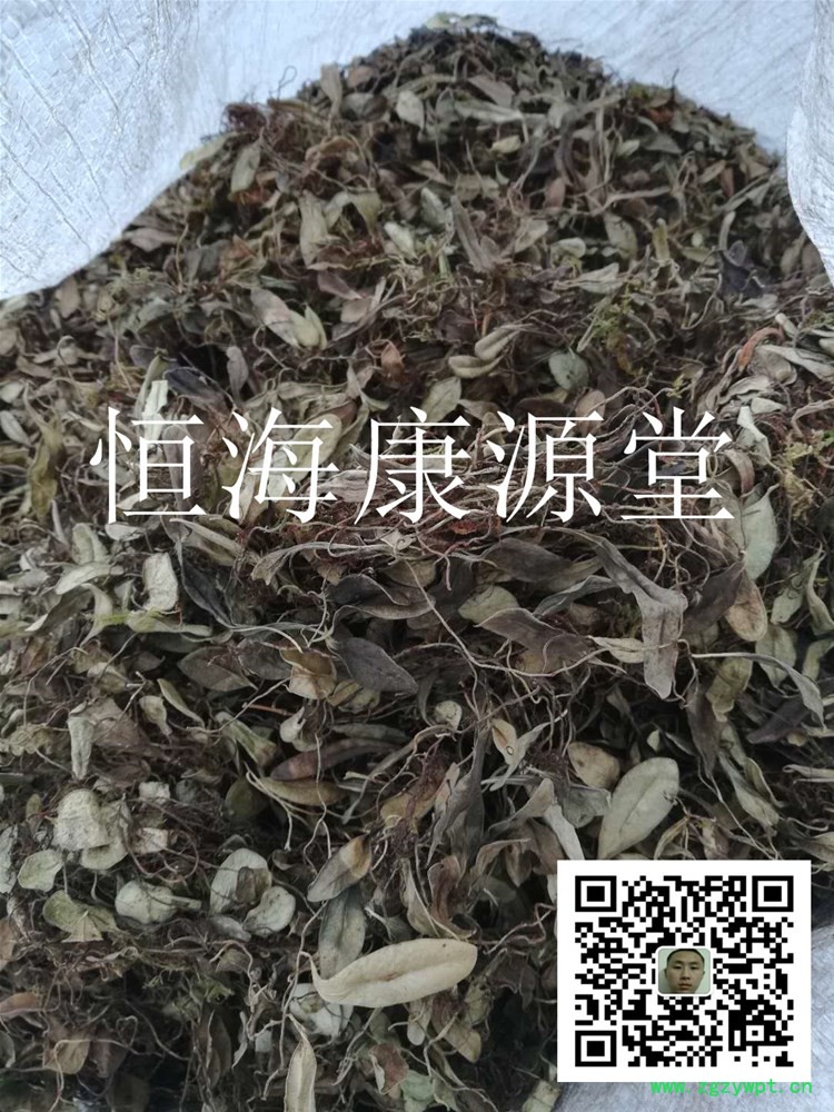 抱石莲401_副本.jpg