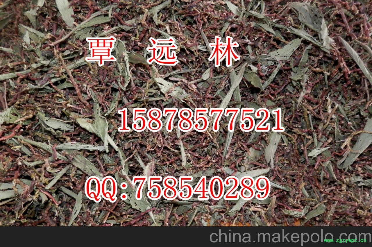 热销云南长寿草茶产地批发配广告录音山蜜草茶龙骨茶毛冬青罗汉果花