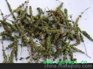 批发供应中药材大货荆芥穗/荆芥