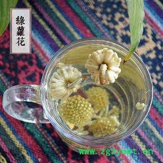 绿萝花 雪中情 花草茶 黄金葛 石柑子 马蹄金 花茶散装图3