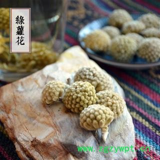 绿萝花 雪中情 花草茶 黄金葛 石柑子 马蹄金 花茶散装图2