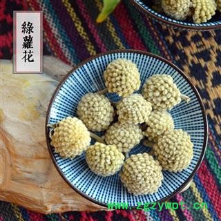 绿萝花 雪中情 花草茶 黄金葛 石柑子 马蹄金 花茶散装图1