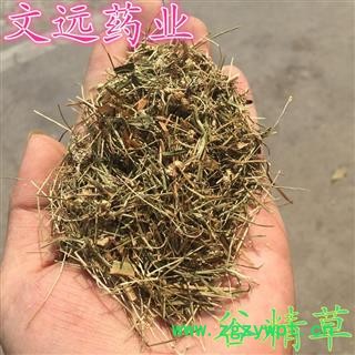 谷精草 精选水洗 产地 湖南省图2