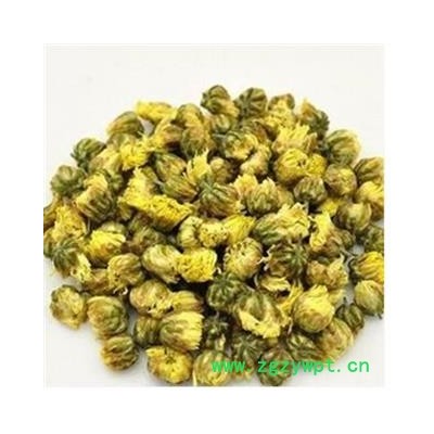 菊花 菊花茶 特级杭白菊 正宗桐乡胎菊王 新花头采 胎菊1000g 杭白菊胎菊统货 产地 浙江省