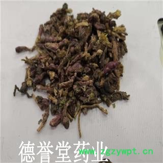 款冬花 统 冬花 产地 甘肃 德誉堂批发中药材图3