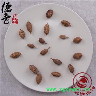 【满包邮】砂仁（小豆蔻） 统 产地 云南省 1000g 中药材批发 规格齐全图3