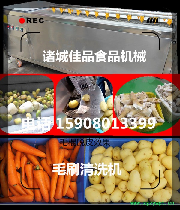 中药材清洗机 瓜蒌清洗机 根茎药根快速清洗机 佳品机械行业**