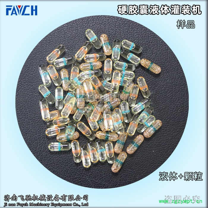 NJYF-300C 全自动硬胶囊液体灌装封口机联动线 硬胶囊液体灌装机图4