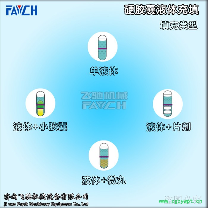 NJYF-300C 全自动硬胶囊液体灌装封口机联动线 硬胶囊液体灌装机图5