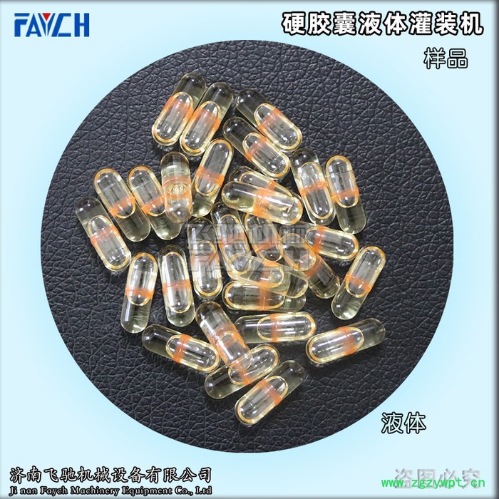 NJYF-300C 全自动硬胶囊液体灌装封口机联动线 硬胶囊液体灌装机图6