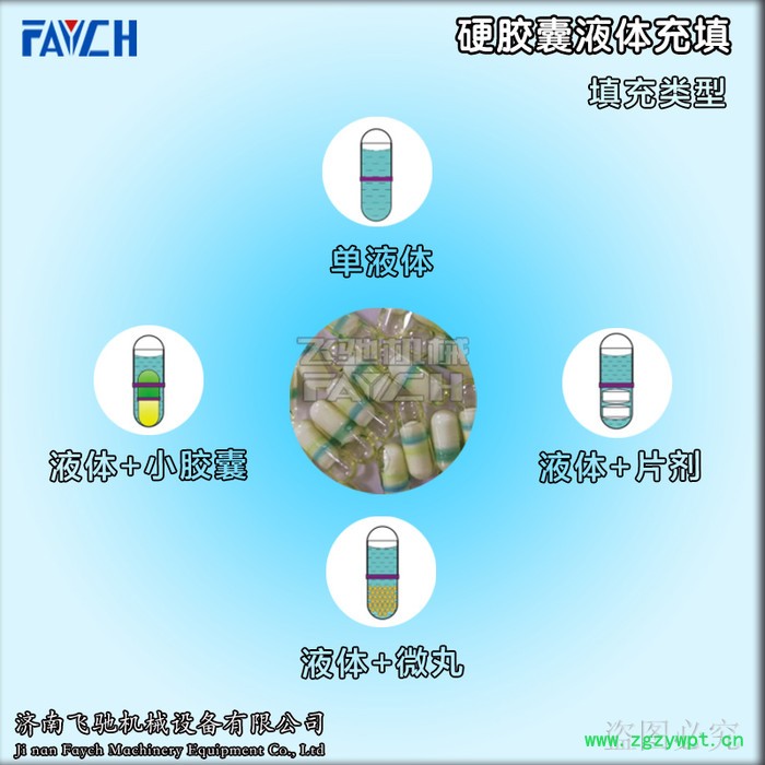 NJYF-300C 全自动硬胶囊液体灌装封口机联动线 硬胶囊液体灌装机图8