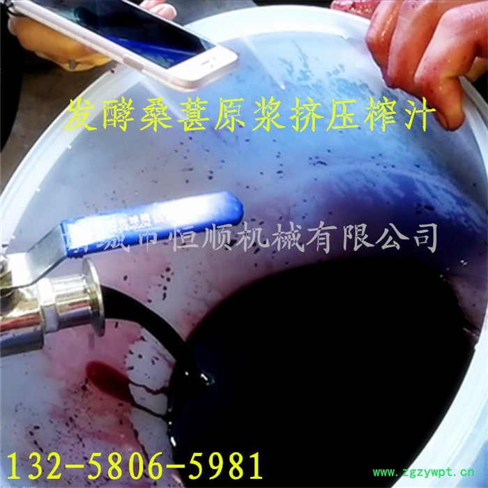 **小型水果压榨机 桑葚蓝莓鲜榨水果榨汁机  蒸煮发酵中药渣过滤压榨机图4