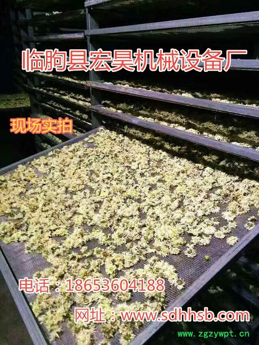 宏昊HH-1500 金丝皇菊 菊花烘干机 杭白菊烘干房 贵妃菊 金丝菊等中药材烘干设备 煤电两用 欢迎定制加工图2