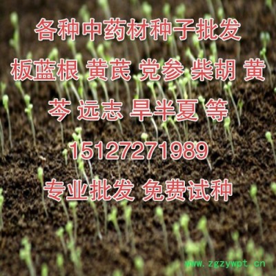 纯新批发各种中药材种子 基地直供 买贵反差价 支持货到付款 提供技术 产品回收 欢迎咨询