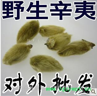 **辛夷花茶 中药材普通辛夷，玉兰花 大量 中国辛夷之乡